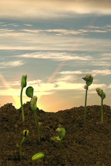 4Earth Farms