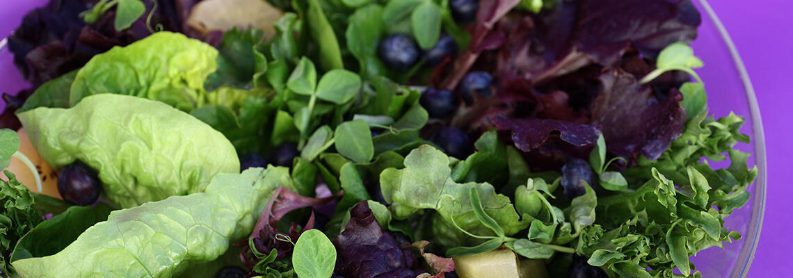 Baby_Lettuce_with_Blueberries