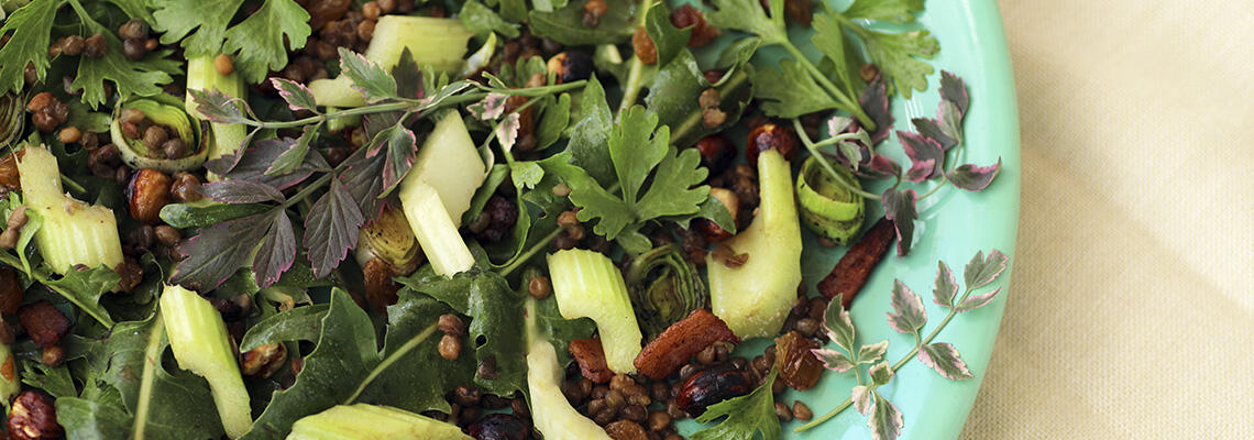 Celery-Lentil_Salad