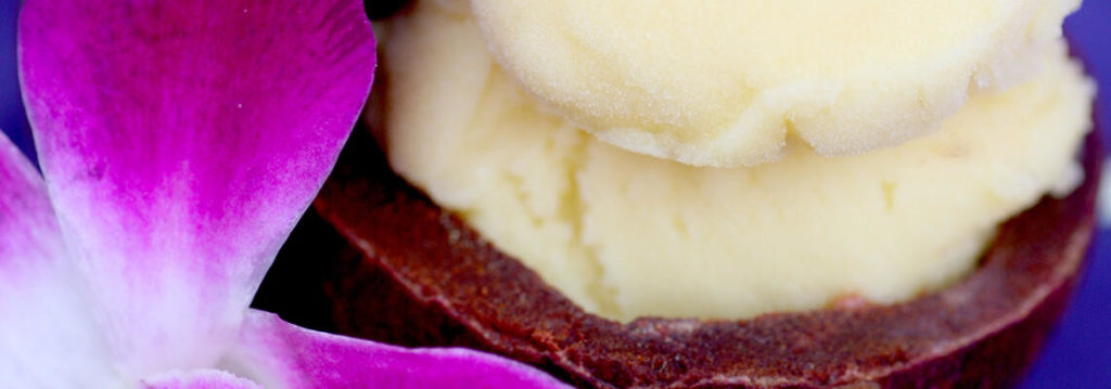 Mangosteen_Passion_Fruit_Sorbet