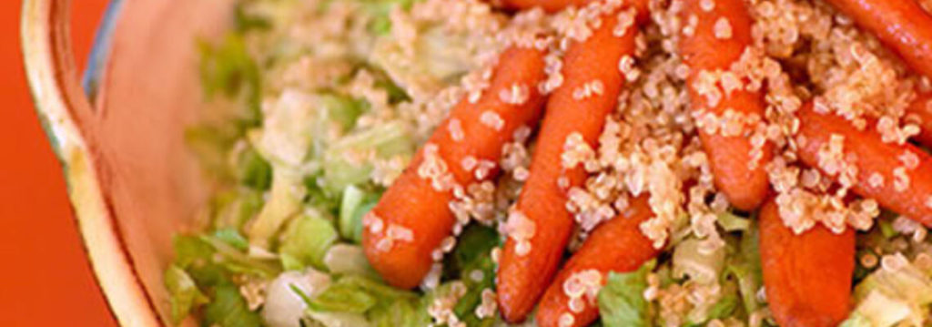 RSS_Tiny_Chop_Blend_w-Quinoa_and_Carrots