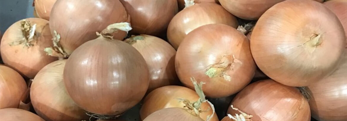 Fresh-run onions