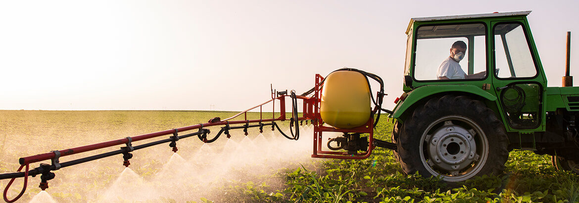 Farmers using pesticides on crops