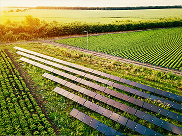 Sustainability in the agricultural and foodservice industries