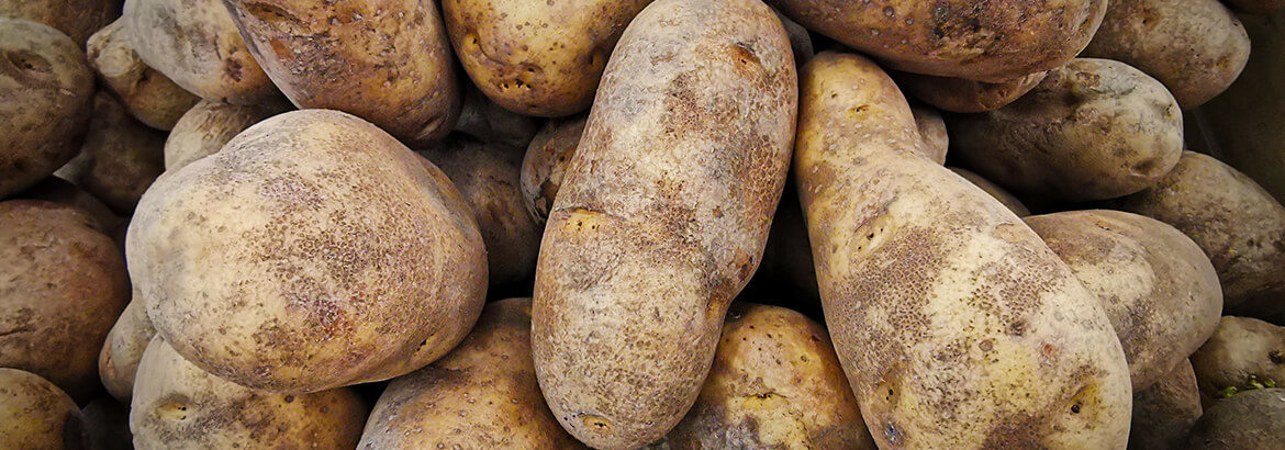 Potatoes shedding excess moisture