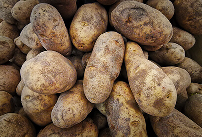 Potatoes shedding excess moisture