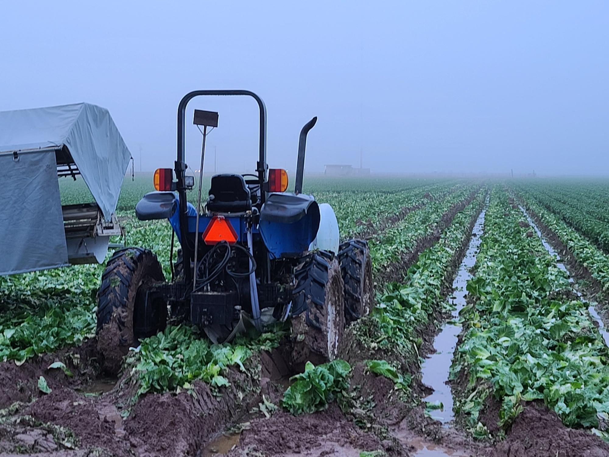 Field Condition Examples FROM THE FIELDS: POOR FIELD CONDITIONS IN THE DESERT REGION - Markon