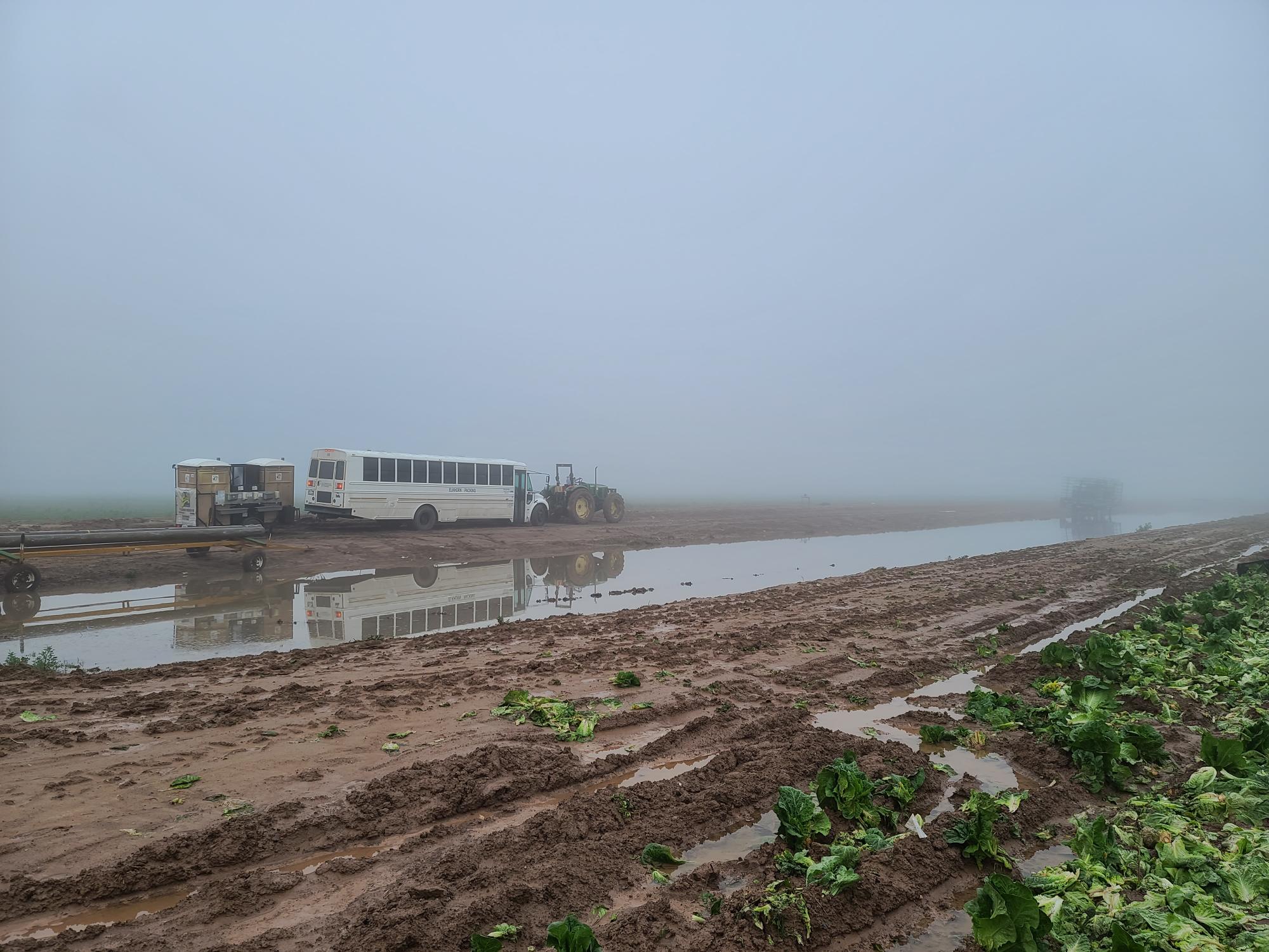 Field Condition Examples FROM THE FIELDS: POOR FIELD CONDITIONS IN THE DESERT REGION - Markon