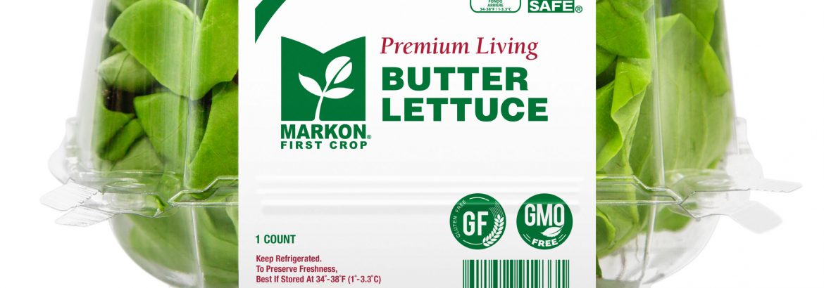 062025 - 288A - C - Markon Clam Mockup - v2.0 (1)