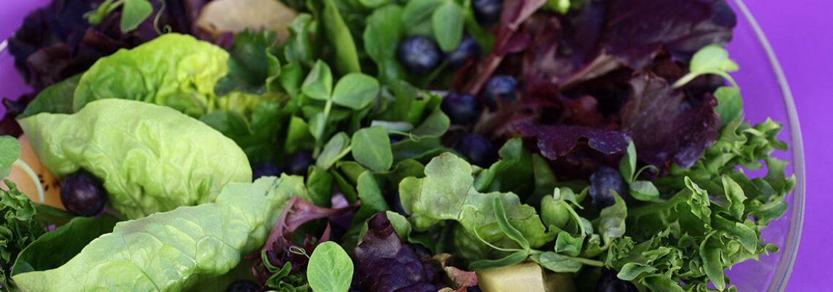 Baby_Lettuce_with_Blueberries