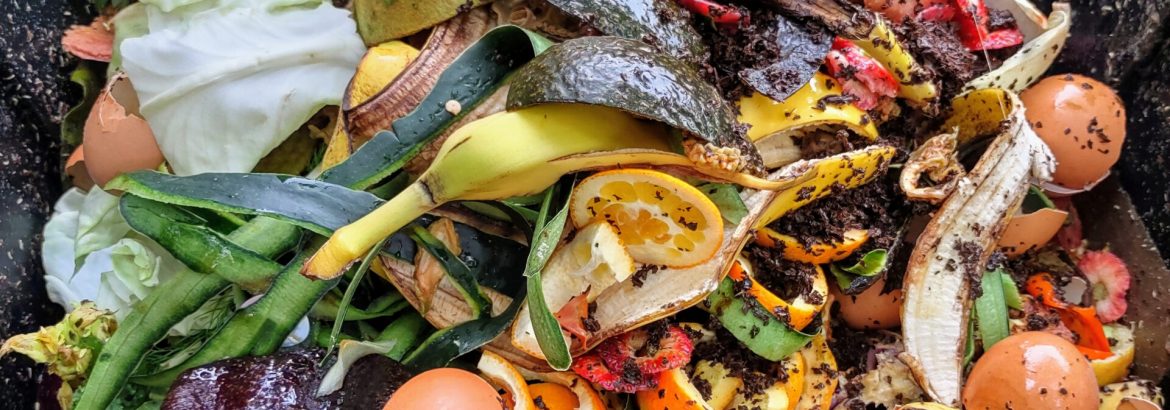 Image of composting bin full of food scraps such as egg shells, orange peels, banana peels; a compost bin with layers of organic matter and soil. Environmentally friendly lifestyle.
