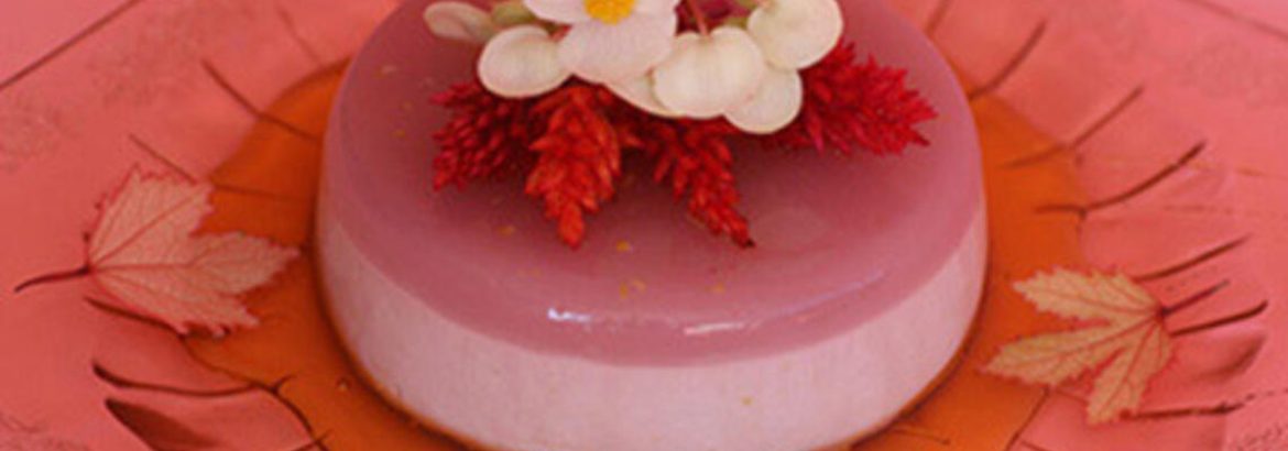 Hibiscus_Panna_Cotta