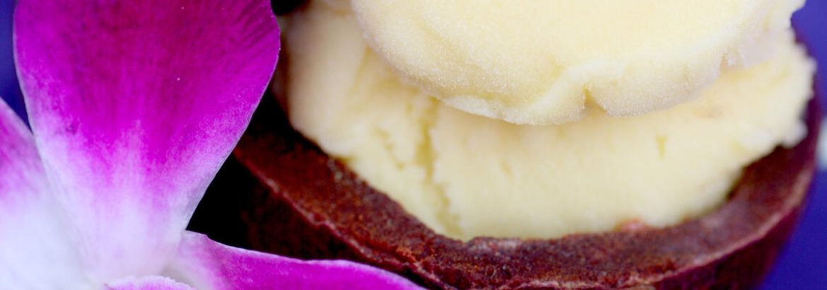 Mangosteen_Passion_Fruit_Sorbet