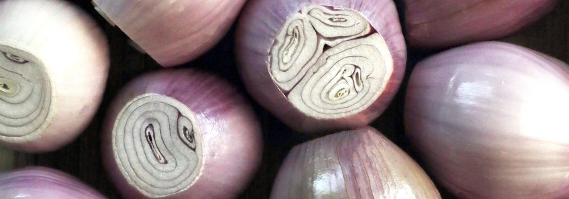 RSS Peeled Shallots 1