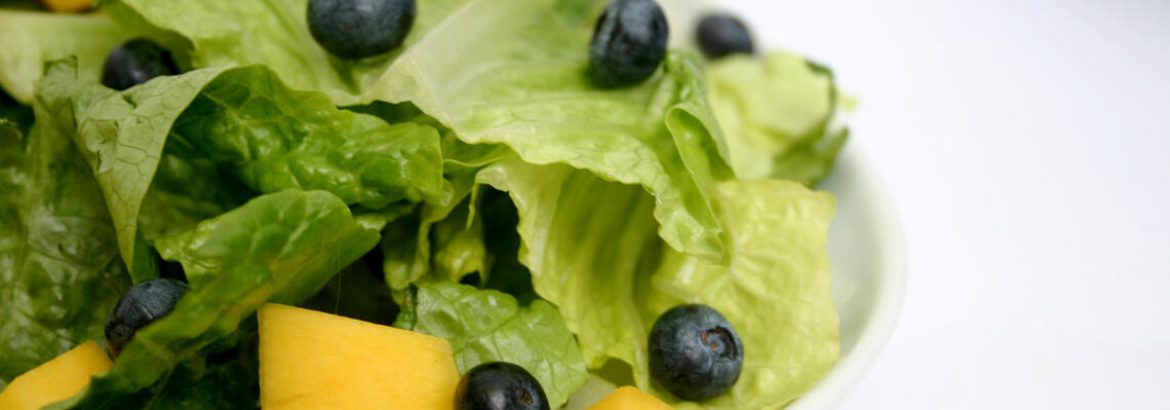 Romaine_Blueberry_Salad