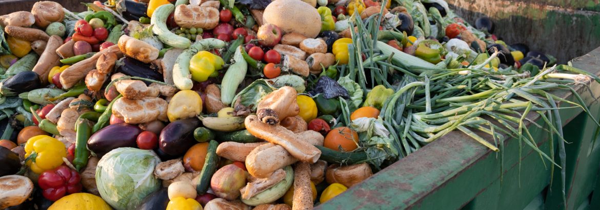 Expired Organic bio waste. Mix Vegetables and fruits in a huge container, in a rubbish bin. Heap of Compost from vegetables or food for animals.