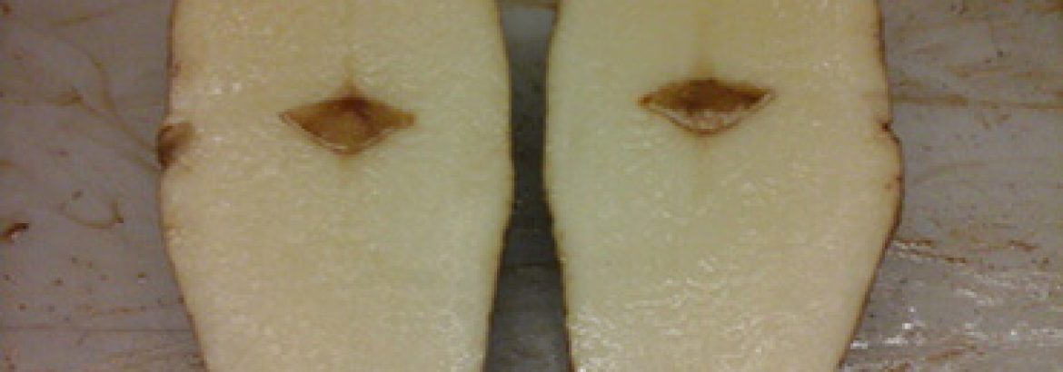 Hollow heart in potatoes