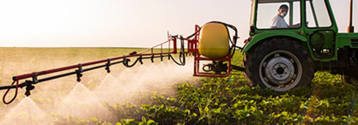 Farmers using pesticides